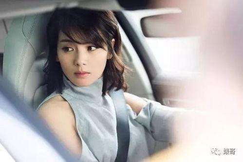 网友爆料安迪视频大全最新,网友爆料最新动态，精彩内容抢先看